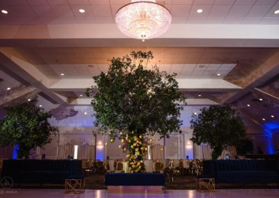 Trees decorating the interior of the Grand Ballroom during an Indian Wedding